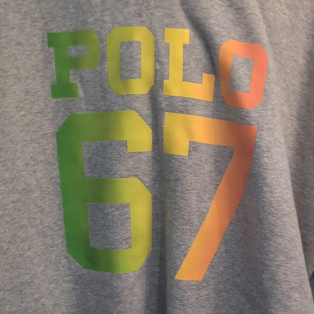 Polo by Ralph Lauren Logo Hoodie Gray Colorful 